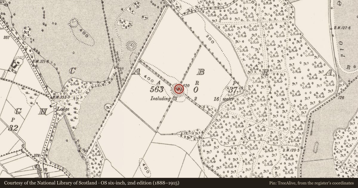 Ordnance Survey six-inch map, 2nd edition (1888–1915) covering the location of Ringfort - rath, Cabra, County Cavan, with a pin at the register's coordinates