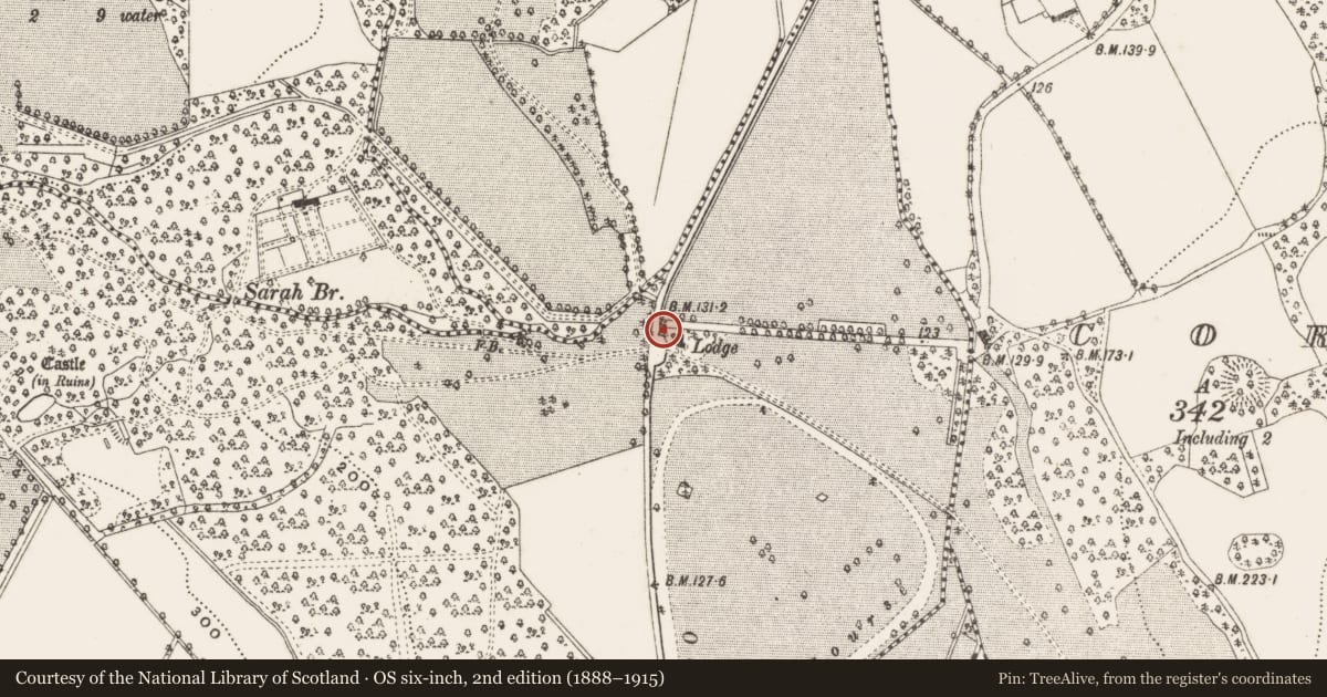 Ordnance Survey six-inch map, 2nd edition (1888–1915) covering the location of Designed landscape - tree-ring, Cabra, County Cavan, with a pin at the register's coordinates