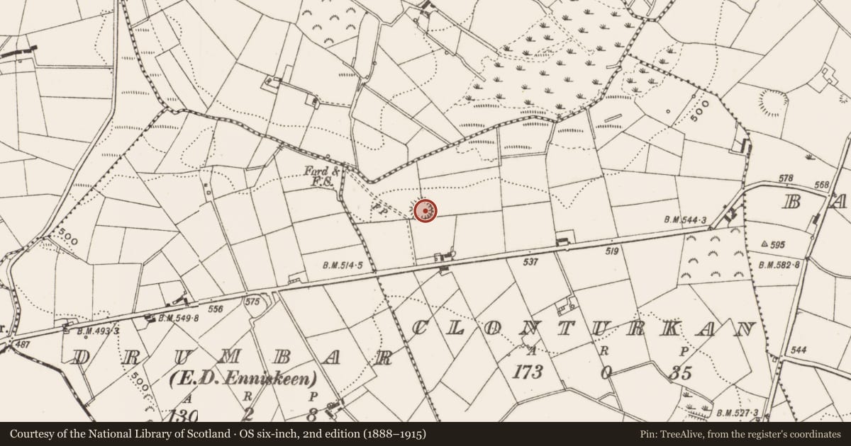 Ordnance Survey six-inch map, 2nd edition (1888–1915) covering the location of Ringfort - rath, Clonturkan, County Cavan, with a pin at the register's coordinates