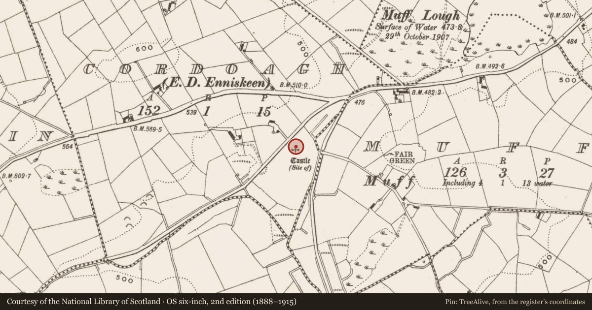 Ordnance Survey six-inch map, 2nd edition (1888–1915) covering the location of Bawn, Cordoagh, County Cavan, with a pin at the register's coordinates