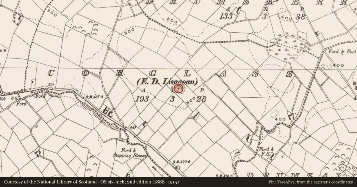 Ordnance Survey six-inch map, 2nd edition (1888–1915) covering the location of Ringfort - rath, Corglass, County Cavan, with a pin at the register's coordinates
