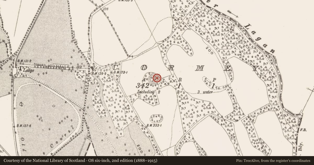 Ordnance Survey six-inch map, 2nd edition (1888–1915) covering the location of Ringfort - rath, Cormey, County Cavan, with a pin at the register's coordinates