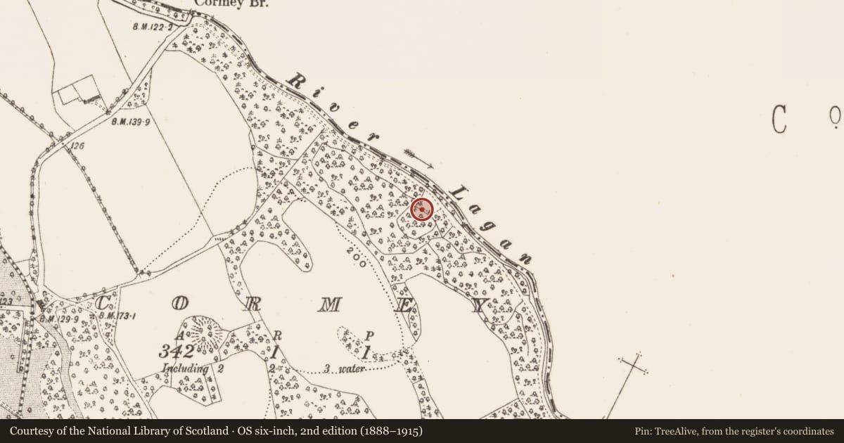 Ordnance Survey six-inch map, 2nd edition (1888–1915) covering the location of Designed landscape - tree-ring, Cormey, County Cavan, with a pin at the register's coordinates