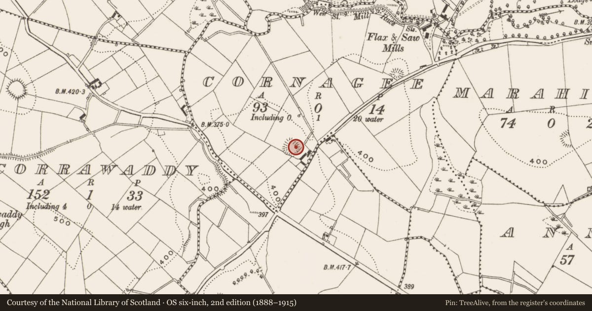 Ordnance Survey six-inch map, 2nd edition (1888–1915) covering the location of Ringfort - rath, Cornagee, County Cavan, with a pin at the register's coordinates