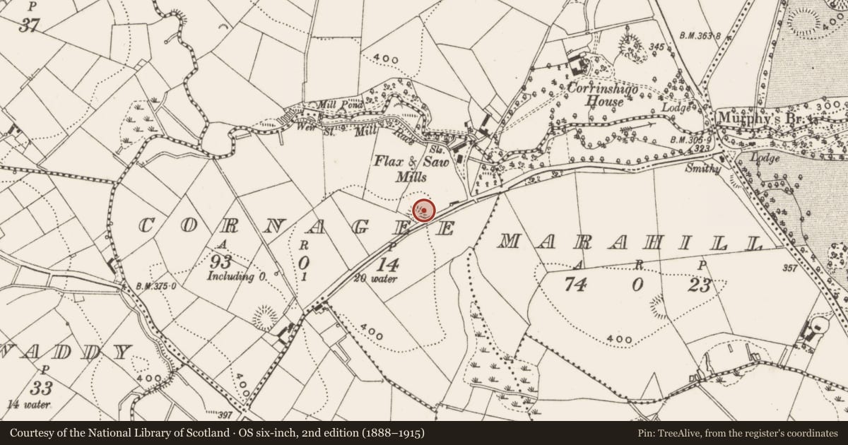Ordnance Survey six-inch map, 2nd edition (1888–1915) covering the location of Ringfort - rath, Cornagee, County Cavan, with a pin at the register's coordinates