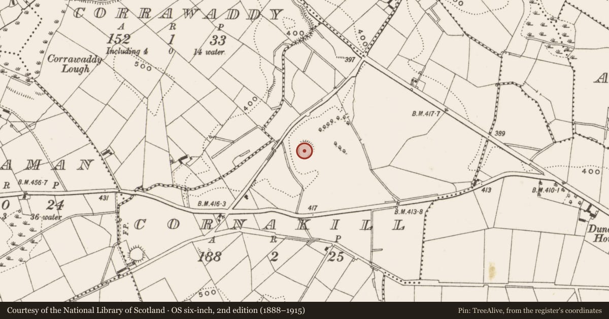 Ordnance Survey six-inch map, 2nd edition (1888–1915) covering the location of Ringfort - rath, Cornakill, County Cavan, with a pin at the register's coordinates