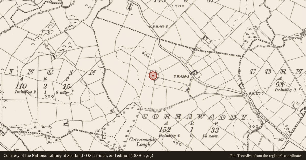 Ordnance Survey six-inch map, 2nd edition (1888–1915) covering the location of Ringfort - rath, Corrawaddy, County Cavan, with a pin at the register's coordinates