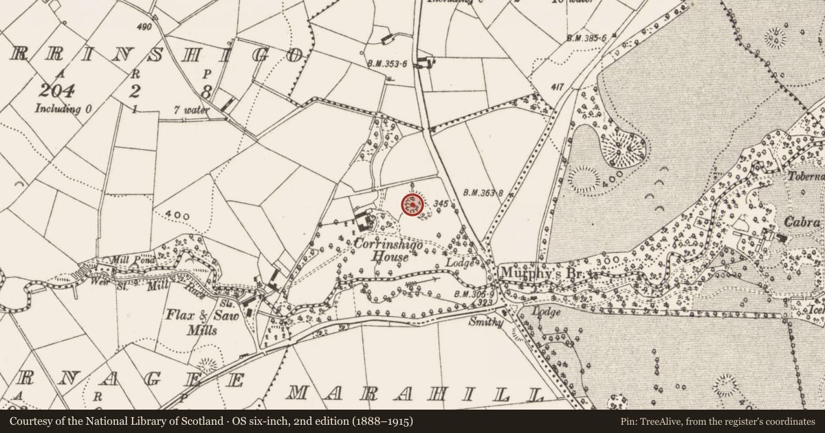 Ordnance Survey six-inch map, 2nd edition (1888–1915) covering the location of Ringfort - rath, Corrinshigo, County Cavan, with a pin at the register's coordinates