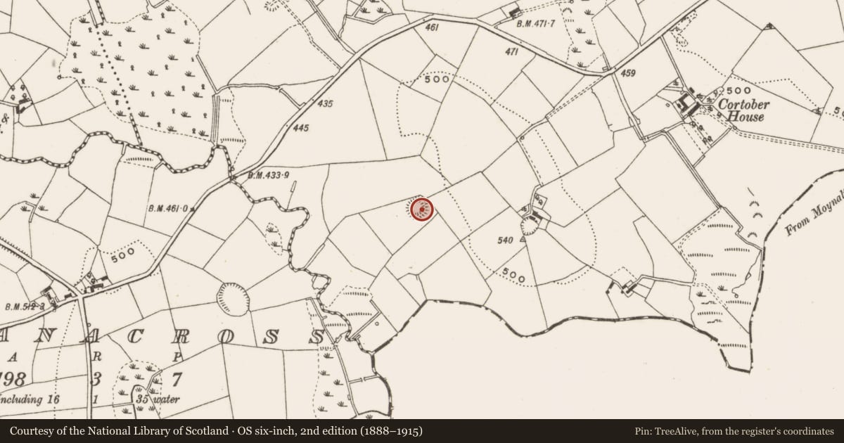 Ordnance Survey six-inch map, 2nd edition (1888–1915) covering the location of Ringfort - rath, Cortober, County Cavan, with a pin at the register's coordinates