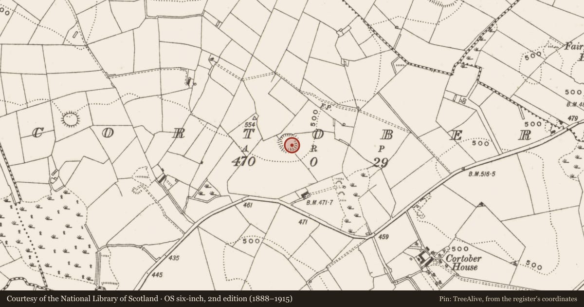 Ordnance Survey six-inch map, 2nd edition (1888–1915) covering the location of Ringfort - rath, Cortober, County Cavan, with a pin at the register's coordinates