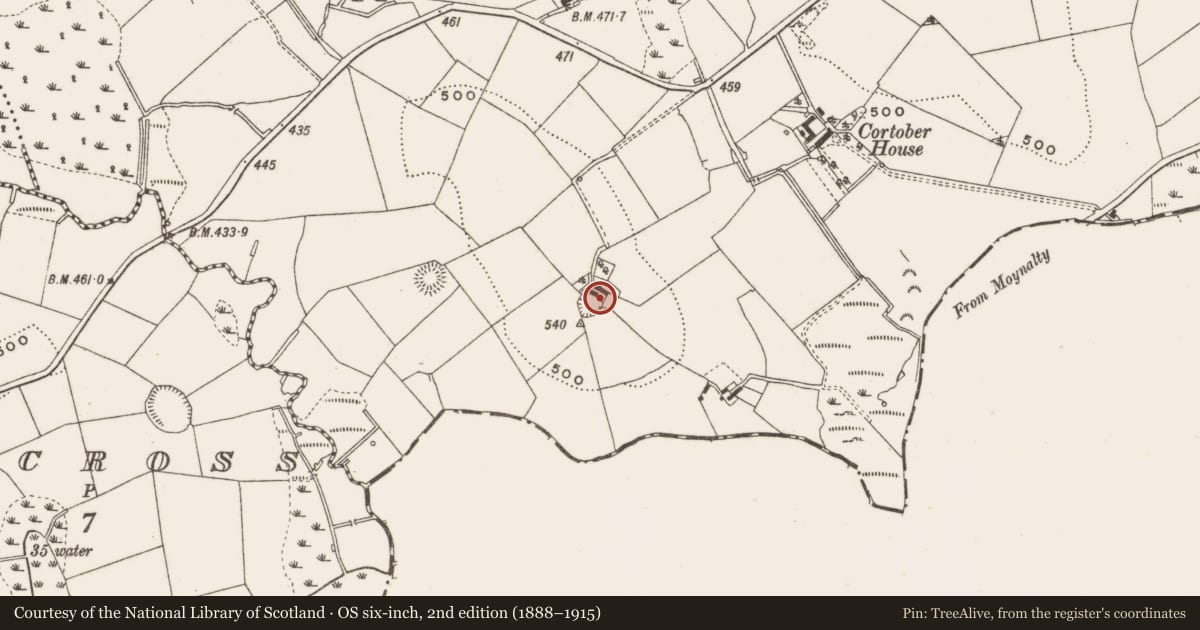 Ordnance Survey six-inch map, 2nd edition (1888–1915) covering the location of Ringfort - rath, Cortober, County Cavan, with a pin at the register's coordinates
