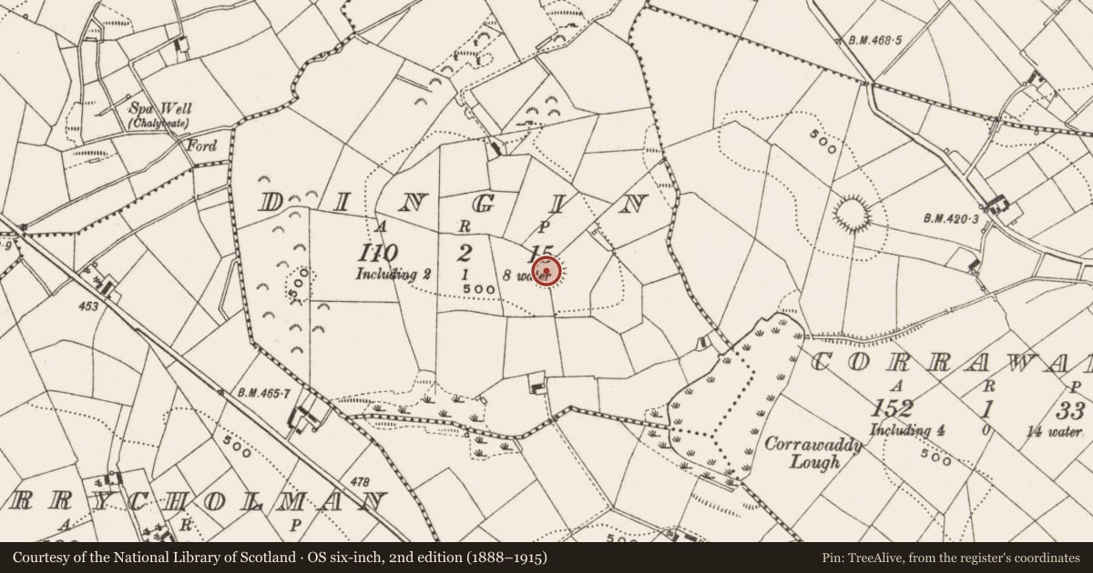 Ordnance Survey six-inch map, 2nd edition (1888–1915) covering the location of Ringfort - rath, Dingin, County Cavan, with a pin at the register's coordinates