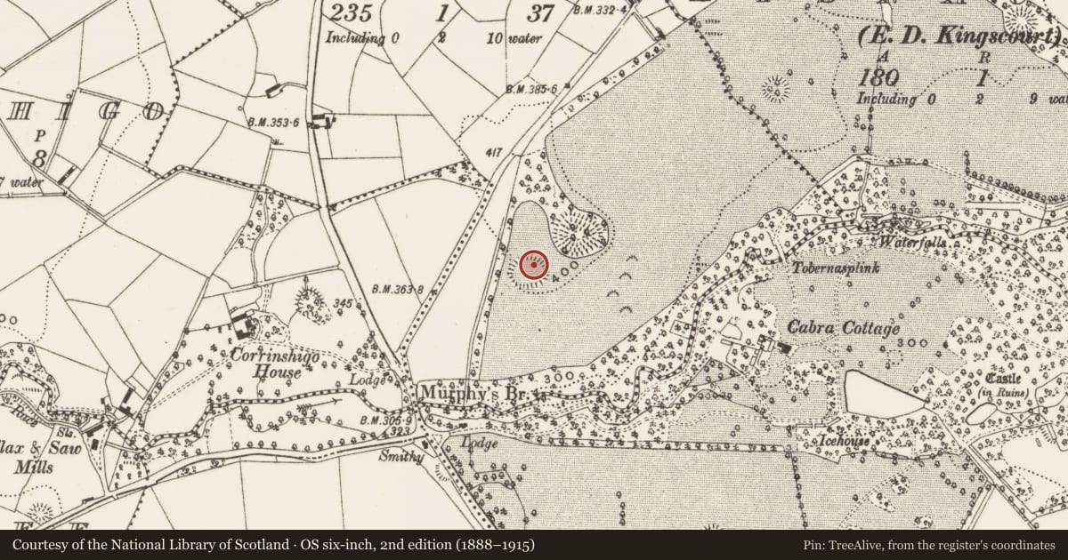 Ordnance Survey six-inch map, 2nd edition (1888–1915) covering the location of Ringfort - rath, Drumpeak, County Cavan, with a pin at the register's coordinates