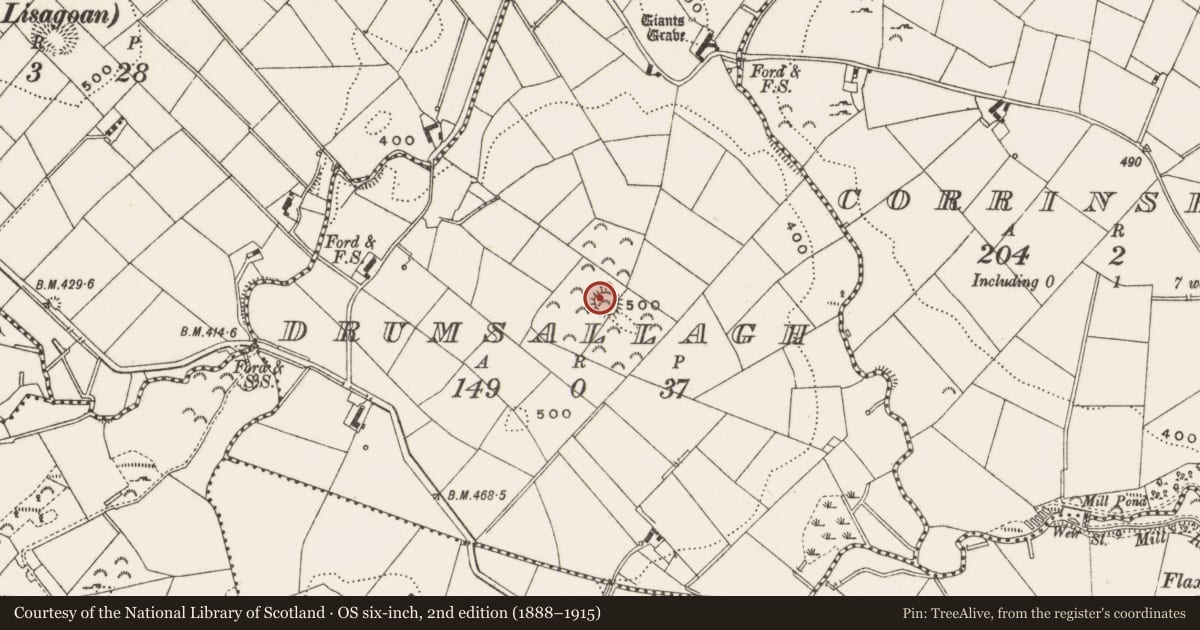 Ordnance Survey six-inch map, 2nd edition (1888–1915) covering the location of Ringfort - rath, Drumsallagh, County Cavan, with a pin at the register's coordinates