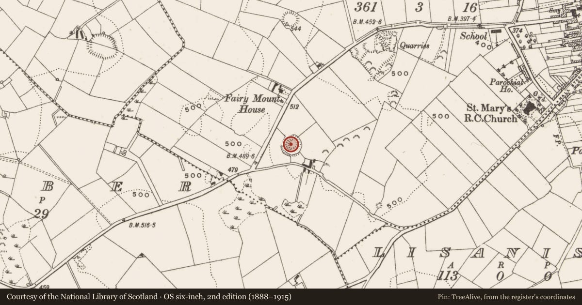 Ordnance Survey six-inch map, 2nd edition (1888–1915) covering the location of Ringfort - rath, Dunaree, County Cavan, with a pin at the register's coordinates