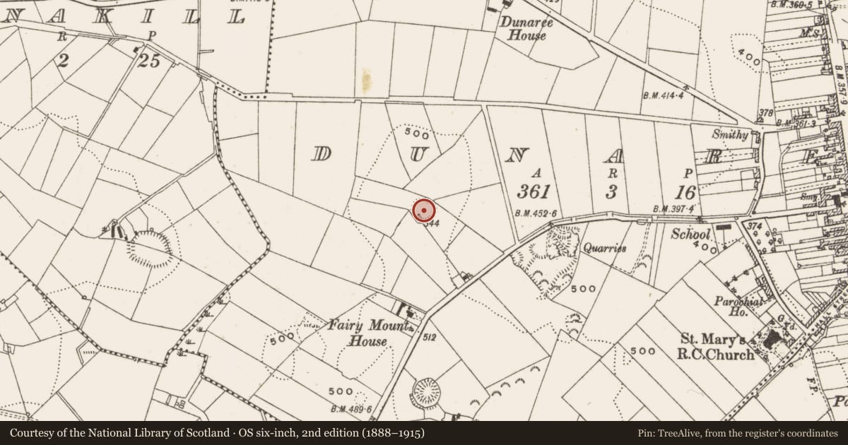 Ordnance Survey six-inch map, 2nd edition (1888–1915) covering the location of Ringfort - rath, Dunaree, County Cavan, with a pin at the register's coordinates