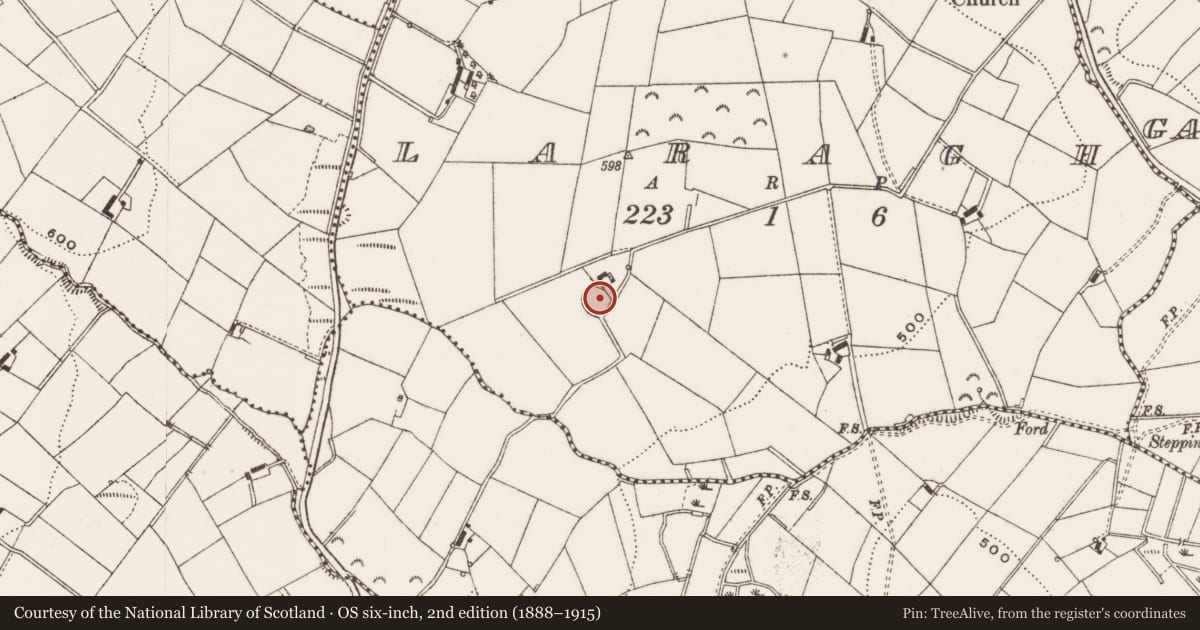 Ordnance Survey six-inch map, 2nd edition (1888–1915) covering the location of Ringfort - rath, Laragh, County Cavan, with a pin at the register's coordinates