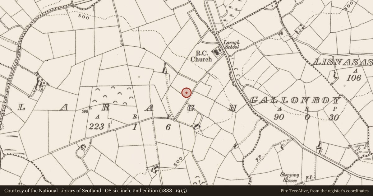 Ordnance Survey six-inch map, 2nd edition (1888–1915) covering the location of Ringfort - rath, Laragh, County Cavan, with a pin at the register's coordinates