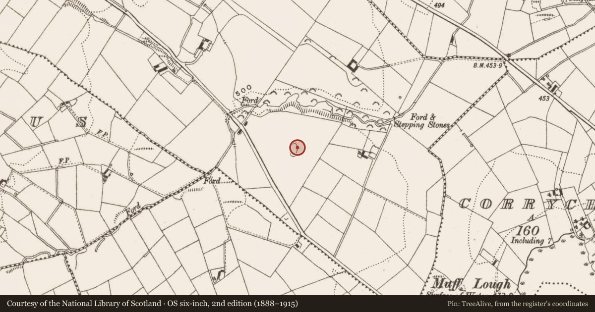 Ordnance Survey six-inch map, 2nd edition (1888–1915) covering the location of Designed landscape feature, Leiter, County Cavan, with a pin at the register's coordinates