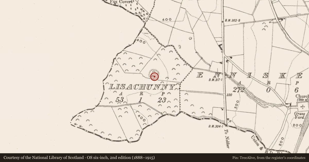 Ordnance Survey six-inch map, 2nd edition (1888–1915) covering the location of Ringfort - rath, Lisachunny, County Cavan, with a pin at the register's coordinates