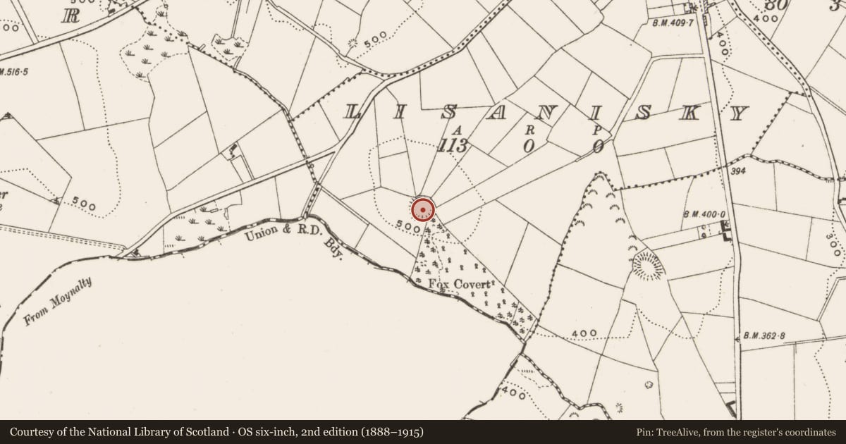 Ordnance Survey six-inch map, 2nd edition (1888–1915) covering the location of Ringfort - rath, Lisanisky, County Cavan, with a pin at the register's coordinates