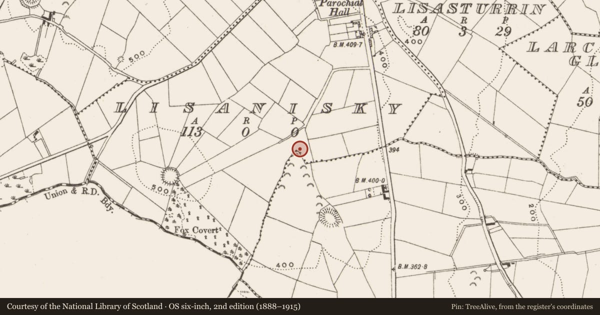 Ordnance Survey six-inch map, 2nd edition (1888–1915) covering the location of Ringfort - rath, Lisanisky, County Cavan, with a pin at the register's coordinates
