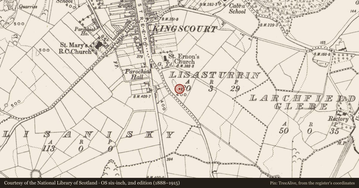 Ordnance Survey six-inch map, 2nd edition (1888–1915) covering the location of Ringfort - rath, Lisasturrin, County Cavan, with a pin at the register's coordinates