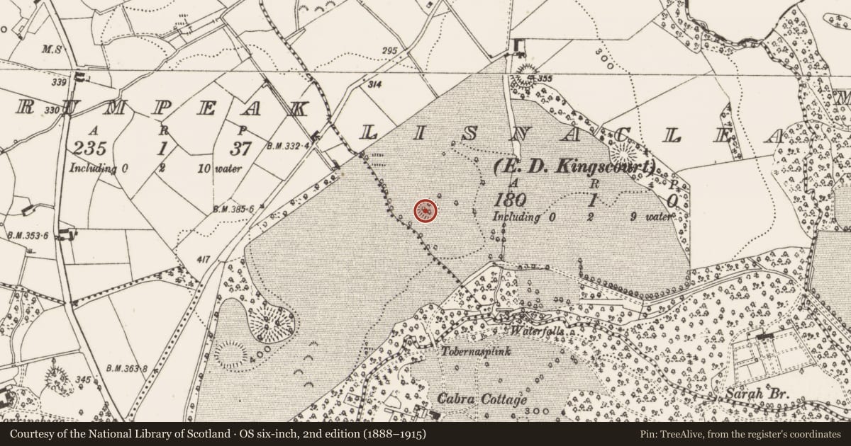 Ordnance Survey six-inch map, 2nd edition (1888–1915) covering the location of Ringfort - rath, Lisnaclea, County Cavan, with a pin at the register's coordinates