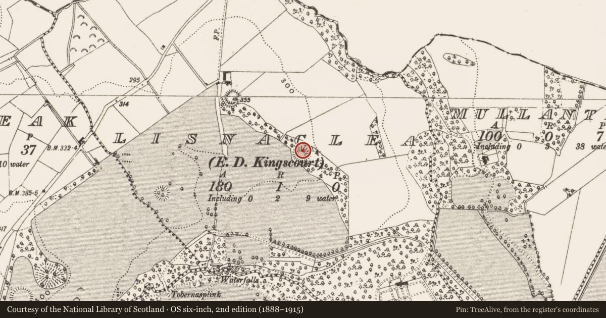 Ordnance Survey six-inch map, 2nd edition (1888–1915) covering the location of Ringfort - rath, Lisnaclea, County Cavan, with a pin at the register's coordinates