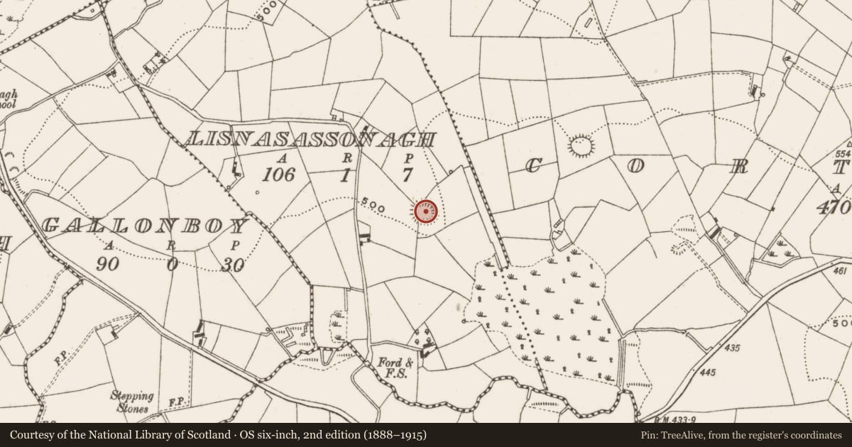 Ordnance Survey six-inch map, 2nd edition (1888–1915) covering the location of Ringfort - rath, Lisnasassonagh, County Cavan, with a pin at the register's coordinates