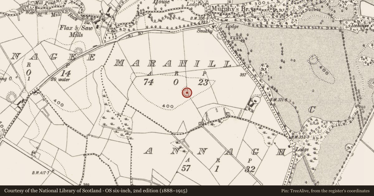 Ordnance Survey six-inch map, 2nd edition (1888–1915) covering the location of Ringfort - rath, Marahill, County Cavan, with a pin at the register's coordinates
