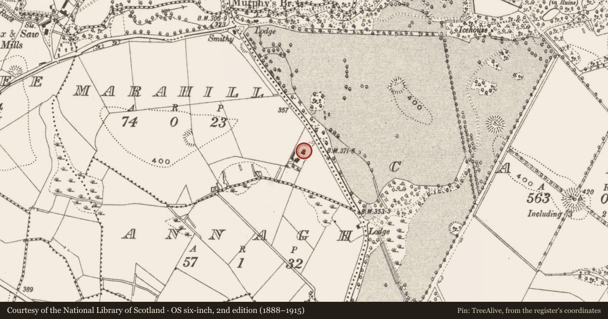 Ordnance Survey six-inch map, 2nd edition (1888–1915) covering the location of Ringfort - rath, Marahill, County Cavan, with a pin at the register's coordinates