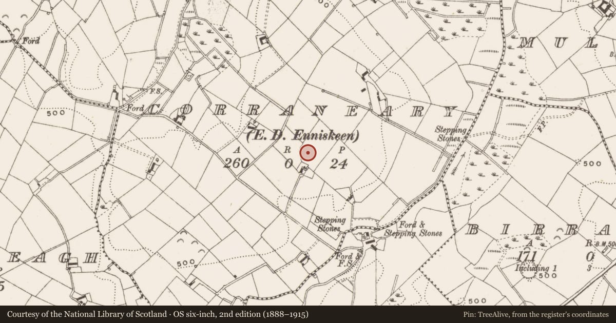 Ordnance Survey six-inch map, 2nd edition (1888–1915) covering the location of Enclosure - large enclosure, Corraneary, County Cavan, with a pin at the register's coordinates