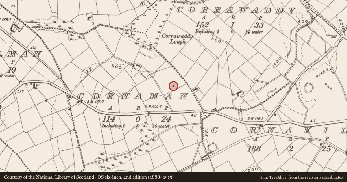 Ordnance Survey six-inch map, 2nd edition (1888–1915) covering the location of Ringfort - rath, Cornaman, County Cavan, with a pin at the register's coordinates