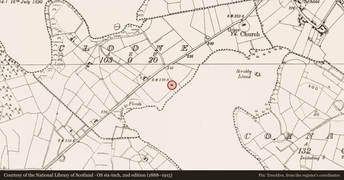 Ordnance Survey six-inch map, 2nd edition (1888–1915) covering the location of Castle - unclassified, Cloone, County Cavan, with a pin at the register's coordinates