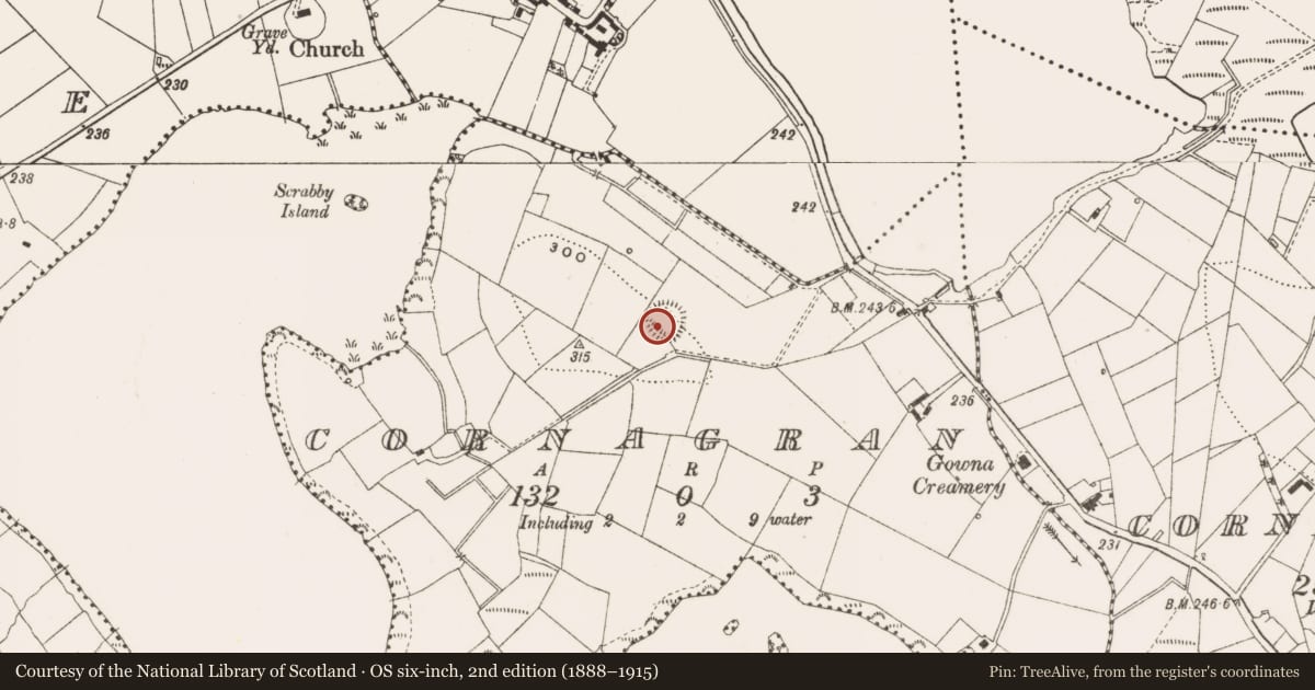 Ordnance Survey six-inch map, 2nd edition (1888–1915) covering the location of Ringfort - rath, Cornagran, County Cavan, with a pin at the register's coordinates