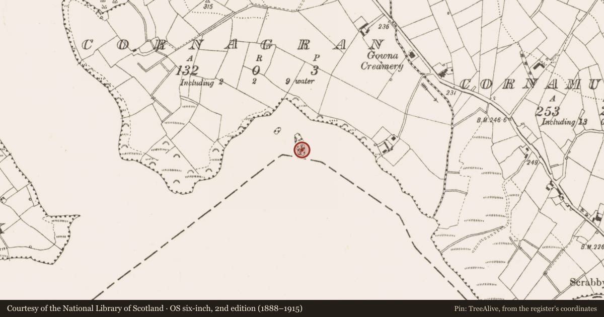 Ordnance Survey six-inch map, 2nd edition (1888–1915) covering the location of Crannog, Cornagran, County Cavan, with a pin at the register's coordinates