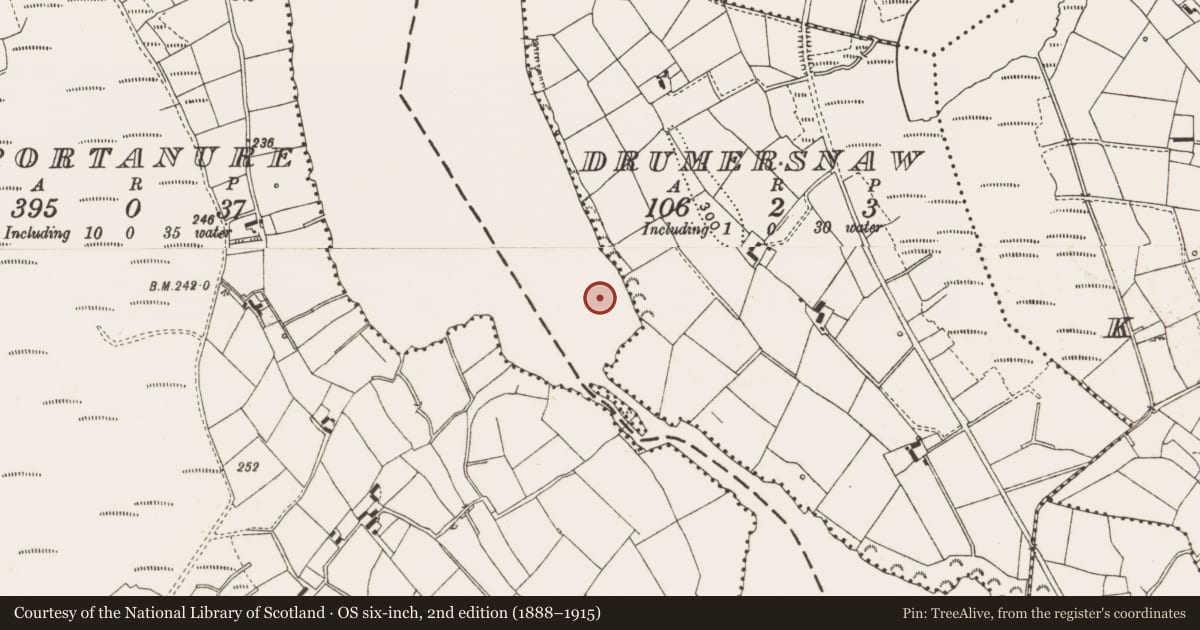 Ordnance Survey six-inch map, 2nd edition (1888–1915) covering the location of Crannog, Drumersnaw, County Cavan, with a pin at the register's coordinates
