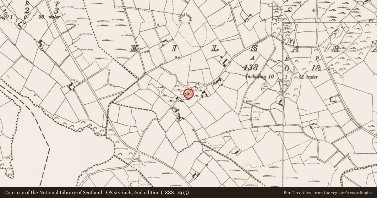 Ordnance Survey six-inch map, 2nd edition (1888–1915) covering the location of Kiln, Kilsaran, County Cavan, with a pin at the register's coordinates