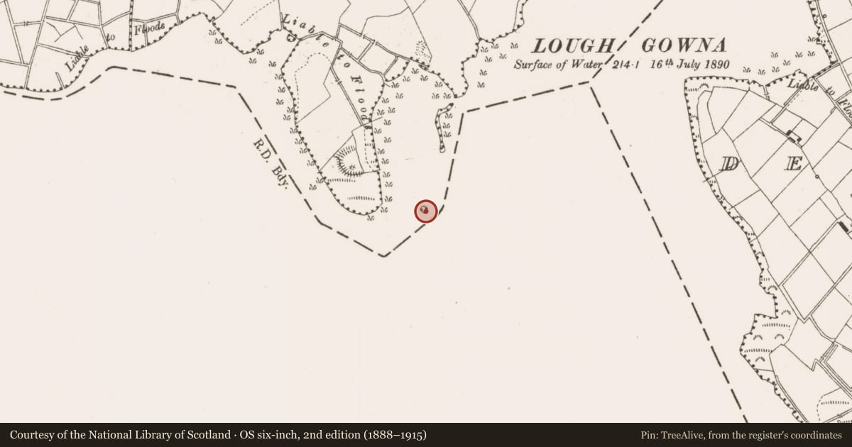 Ordnance Survey six-inch map, 2nd edition (1888–1915) covering the location of Crannog, Portanure, County Cavan, with a pin at the register's coordinates