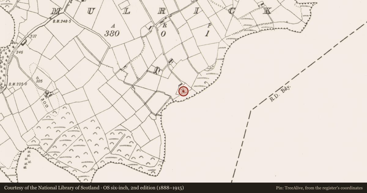 Ordnance Survey six-inch map, 2nd edition (1888–1915) covering the location of Kiln, Mulrick, County Cavan, with a pin at the register's coordinates