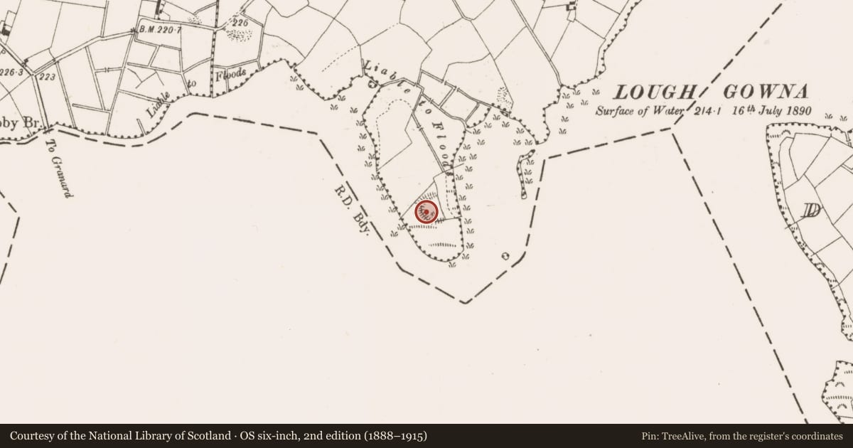 Ordnance Survey six-inch map, 2nd edition (1888–1915) covering the location of Ringfort - rath, Portanure, County Cavan, with a pin at the register's coordinates