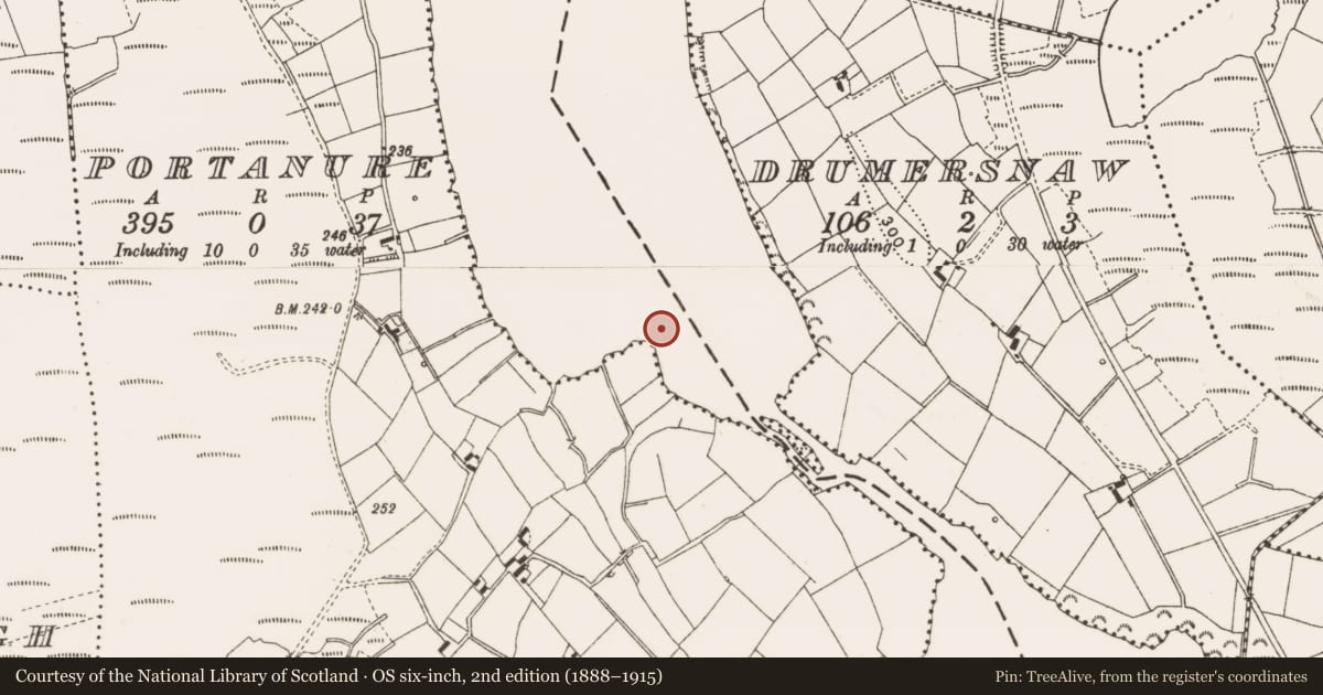 Ordnance Survey six-inch map, 2nd edition (1888–1915) covering the location of Crannog, Portanure, County Cavan, with a pin at the register's coordinates