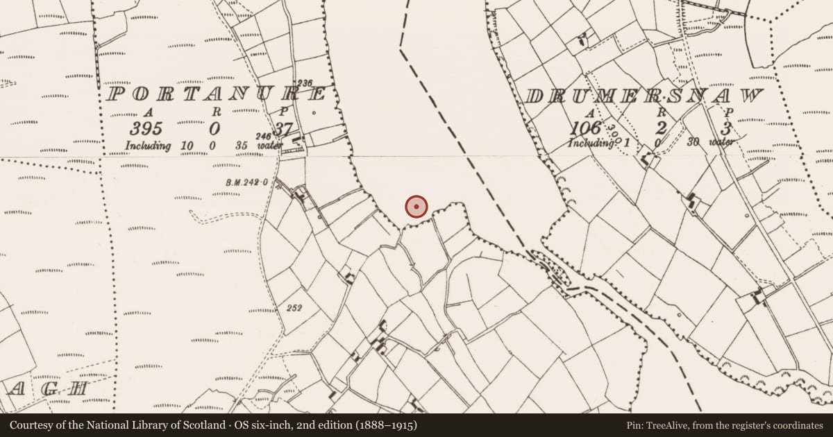 Ordnance Survey six-inch map, 2nd edition (1888–1915) covering the location of Crannog, Portanure, County Cavan, with a pin at the register's coordinates