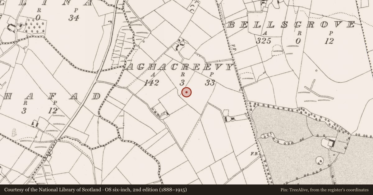 Ordnance Survey six-inch map, 2nd edition (1888–1915) covering the location of Ringfort - rath, Aghacreevy, County Cavan, with a pin at the register's coordinates