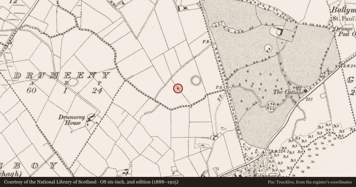 Ordnance Survey six-inch map, 2nd edition (1888–1915) covering the location of Ringfort - rath, Aghacreevy, County Cavan, with a pin at the register's coordinates