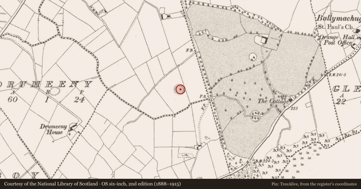 Ordnance Survey six-inch map, 2nd edition (1888–1915) covering the location of Ringfort - rath, Aghacreevy, County Cavan, with a pin at the register's coordinates