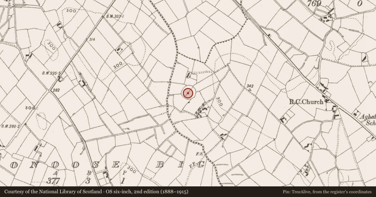 Ordnance Survey six-inch map, 2nd edition (1888–1915) covering the location of Ringfort - rath, Aghaloory, County Cavan, with a pin at the register's coordinates