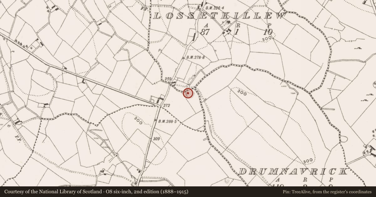 Ordnance Survey six-inch map, 2nd edition (1888–1915) covering the location of Ringfort - rath, Aghaloory, County Cavan, with a pin at the register's coordinates
