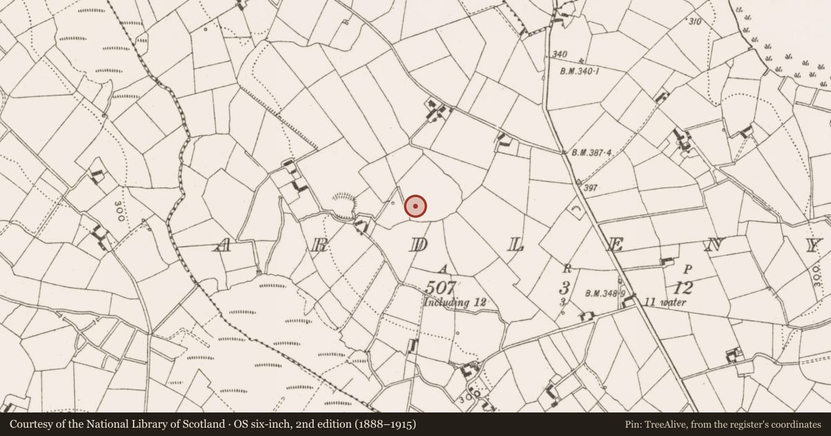 Ordnance Survey six-inch map, 2nd edition (1888–1915) covering the location of Standing stone, Ardleny, County Cavan, with a pin at the register's coordinates